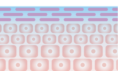 イラスト:水分蒸発