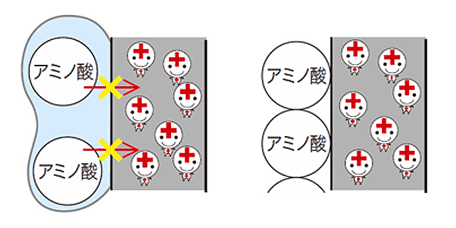 イラスト:従来のアミノ酸系トリートメント
